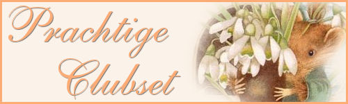 Prachtige Clubset.j…